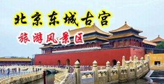 美女露乳淫玩水中国北京-东城古宫旅游风景区